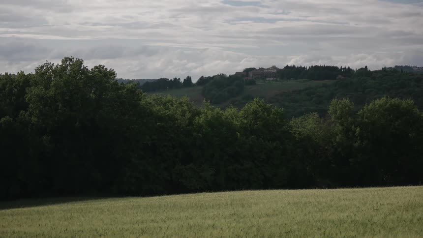 Green grass and trees cover a hillside landscape