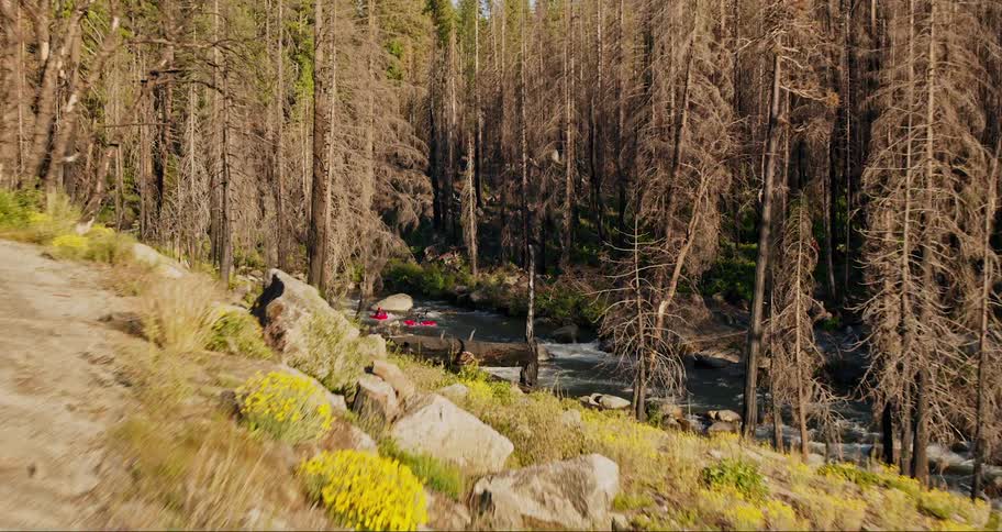 Aerial landscape of a street next to a river in a forest with two people canoeing in daylight