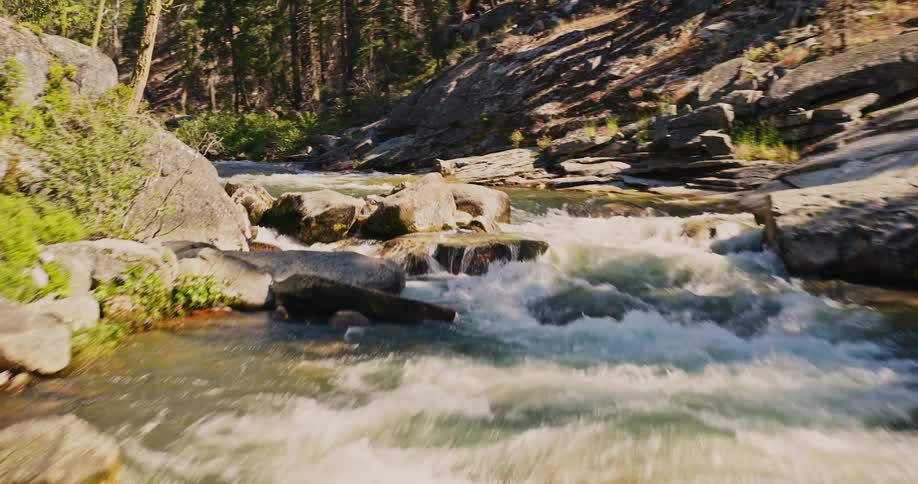 Landscape of a flowing river in the middle of a forest