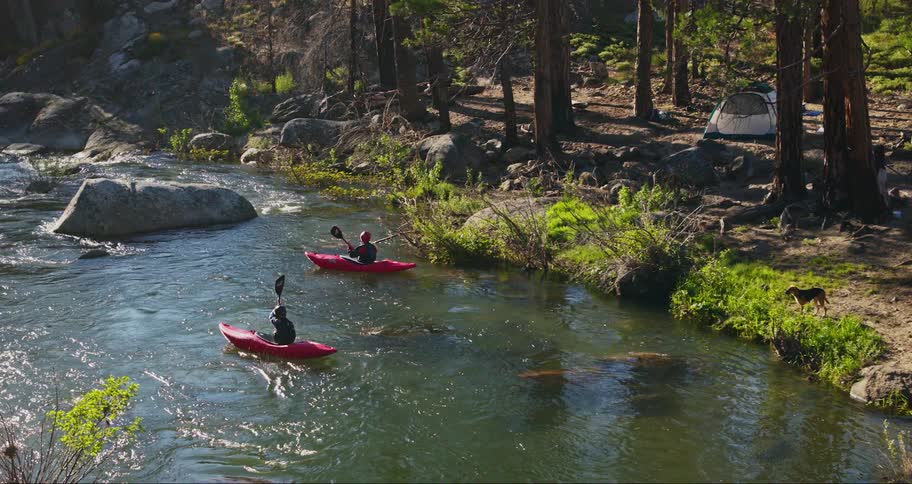 Two people in different canoes going down a river and half a forest