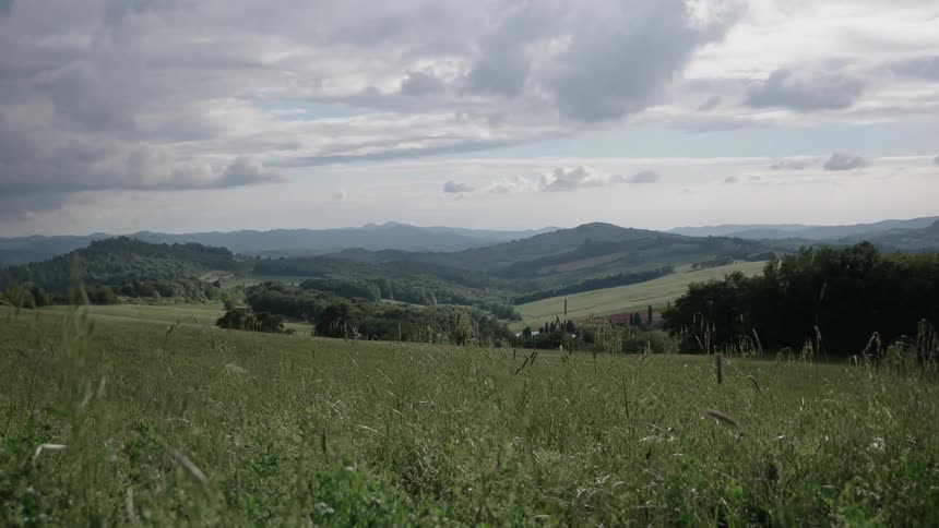 A green field with mountains in the distance on a cloudy day