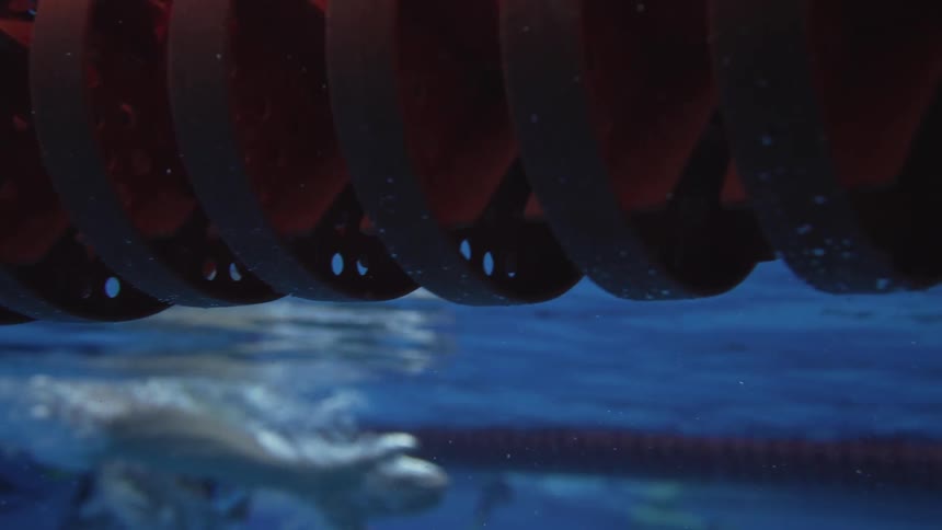 Swimmers compete in a pool during the day