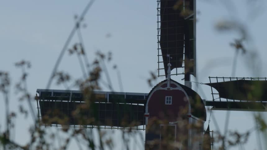 A red windmill with fourblades spins behind tall grasses or plants