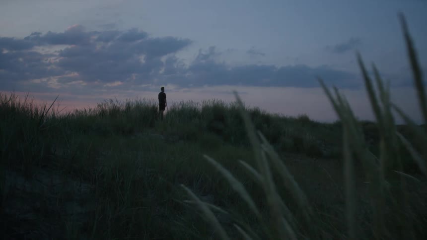 A person in a meadow watching the sky during dusk
