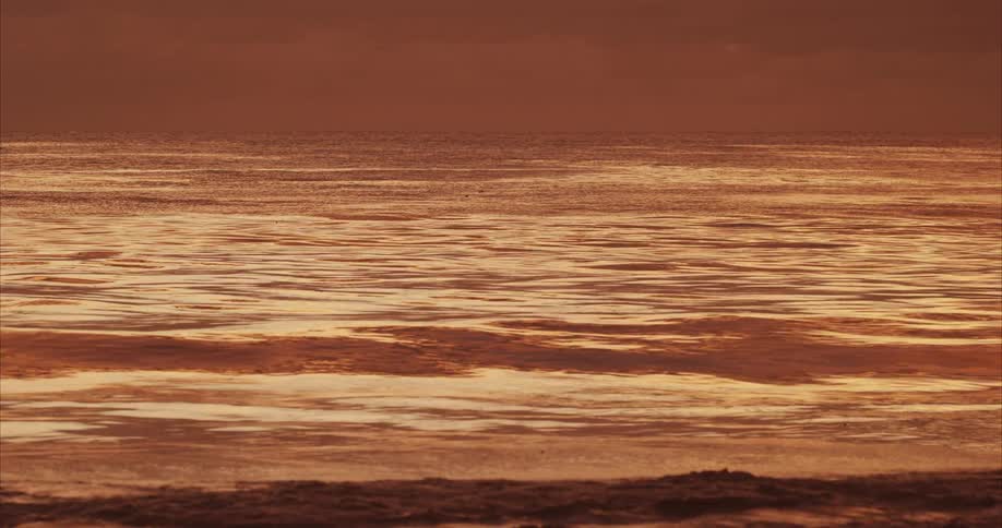 Sunlight reflects on waves as they splash and roll into shore