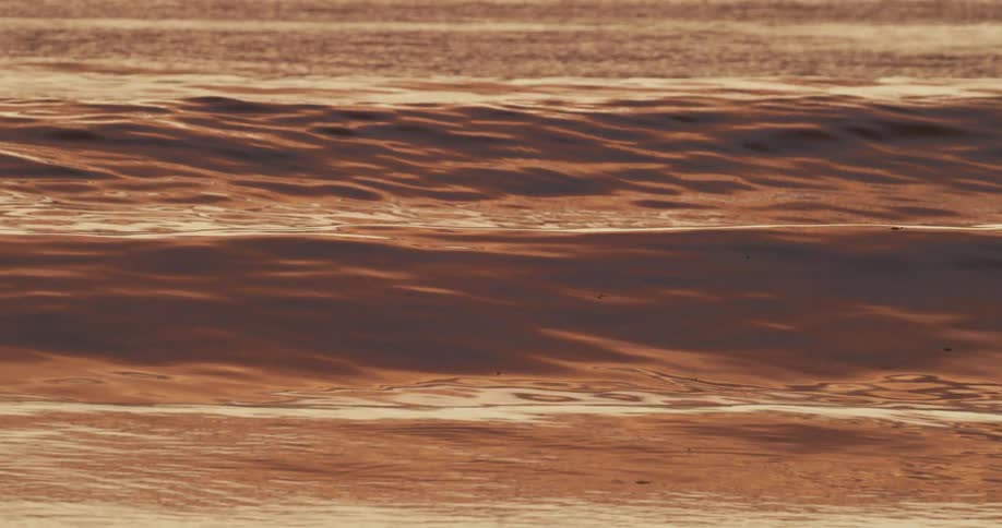 Sunlight reflects on waves as they splash and roll into shore