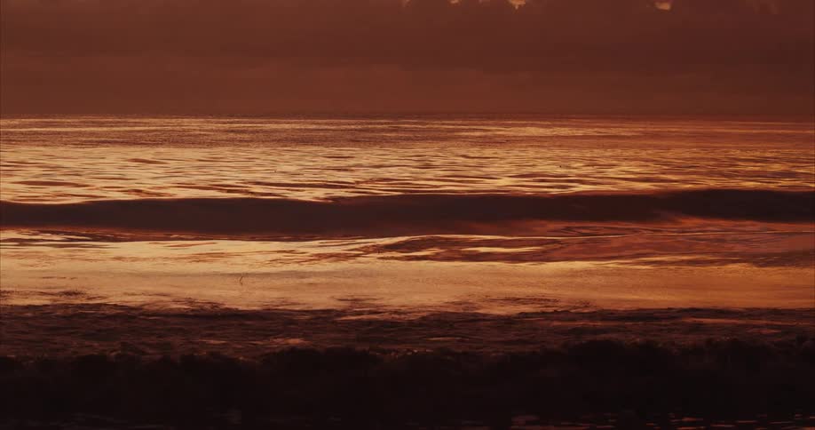 Sunlight reflects on waves as they splash and roll into shore