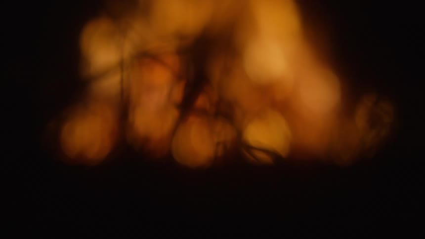 Concentrated fire in the forest at night