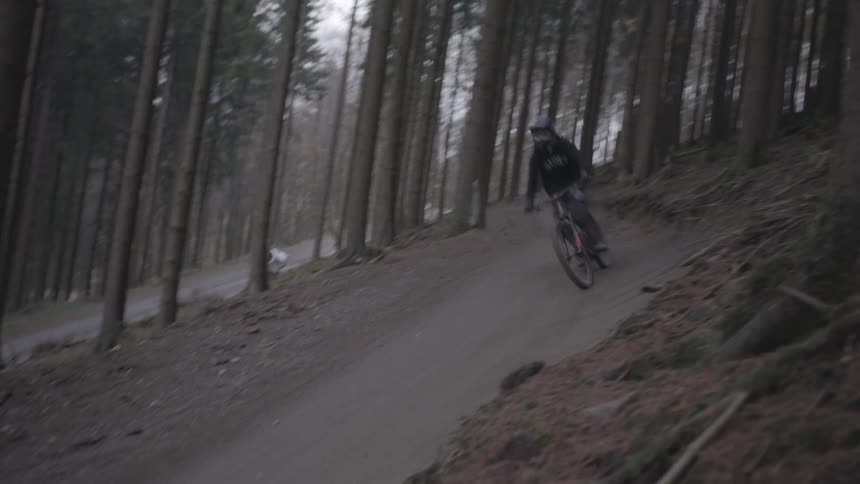 A cyclist rides a mountain bike on a trail at the edge of the woods and leaps into the air on top of the hill