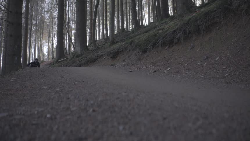 A person on a mountain bike speeding through the forest during sunset