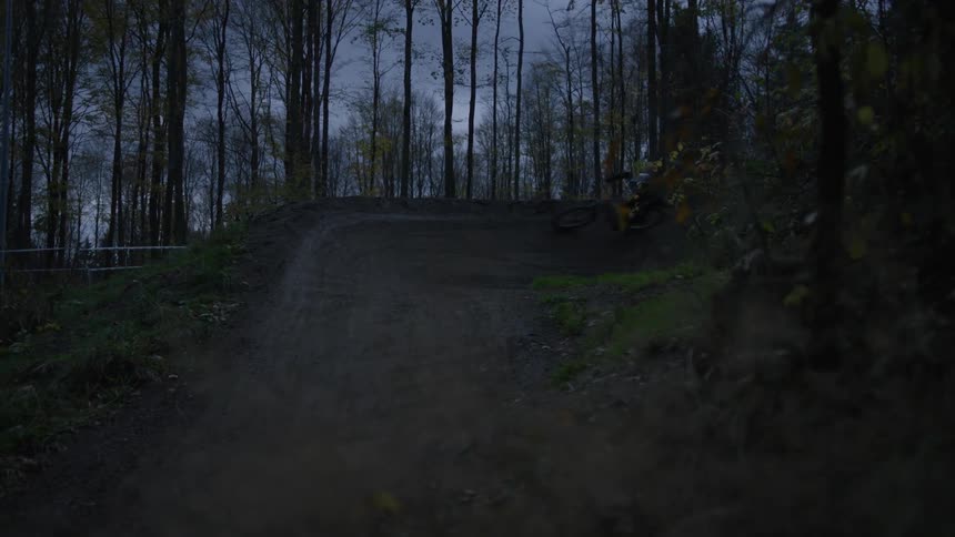 Person mountain biking one morning on a track in a forest