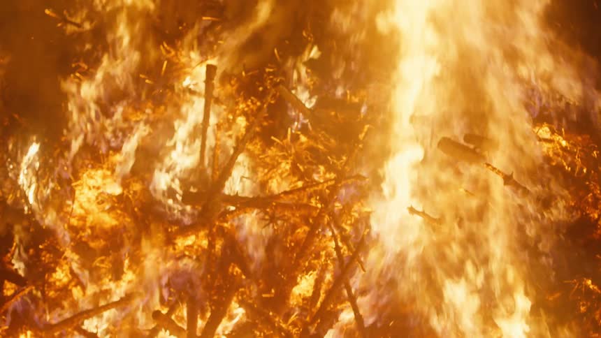 Flames rise from a blazing fire in the forest as trees burn