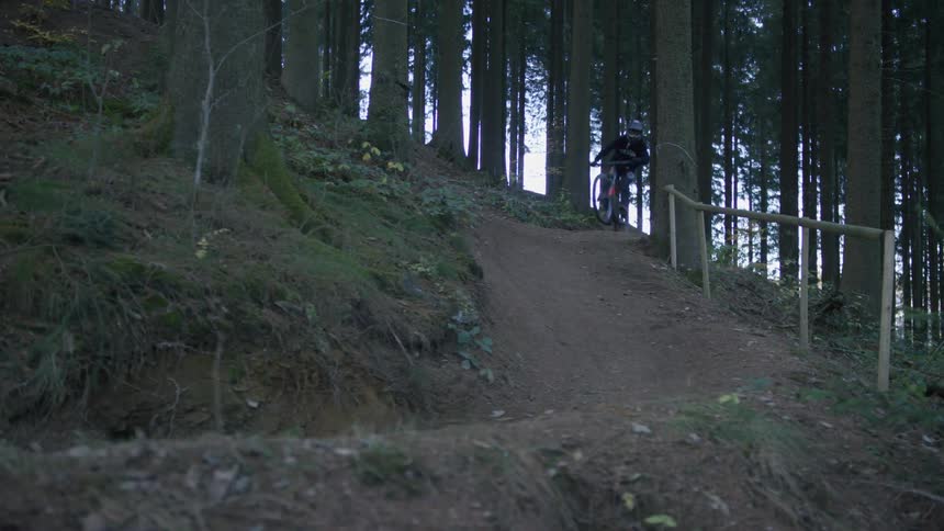 A person mountain biking during dusk in the forest