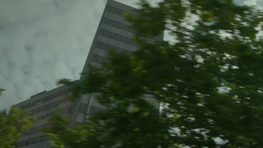 A tall building behind a row of trees