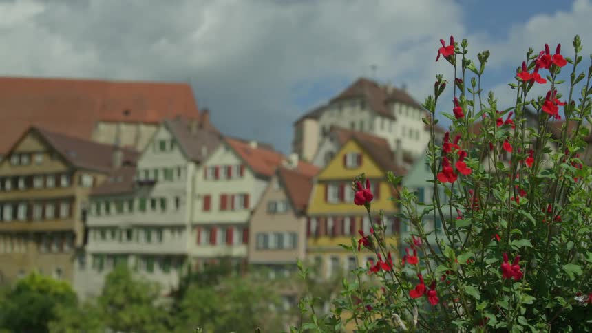 Landscape of a residential city with houses of buildings with the same architecture and different colors