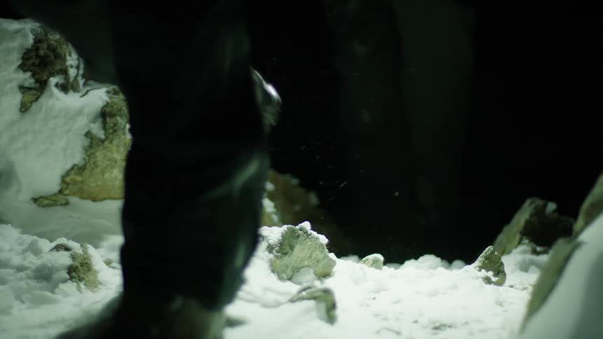 People hike over snow covered rocky terrain at night