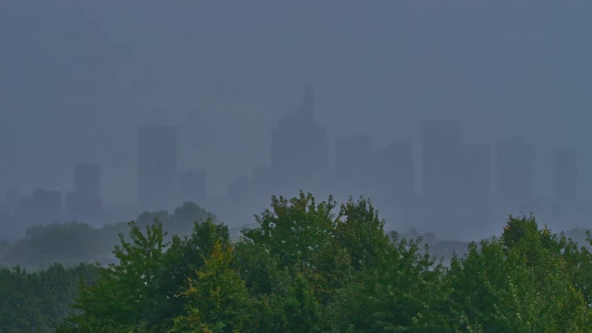 View of a tree on a rainy day with fog and in the background a metropolis with a skyscraper