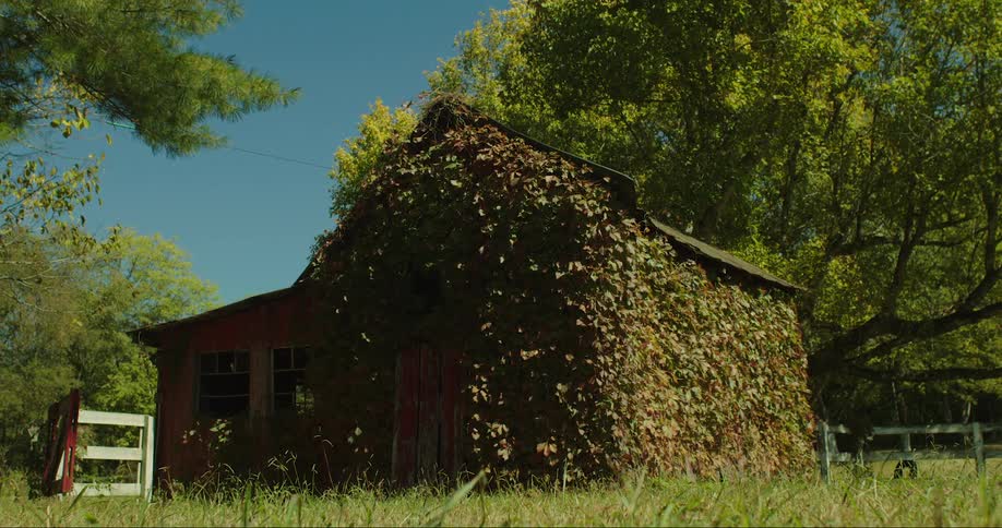 An abandoned cabin in the forest