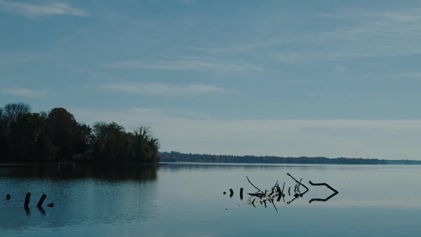 Natural landscape of a lake like a forest