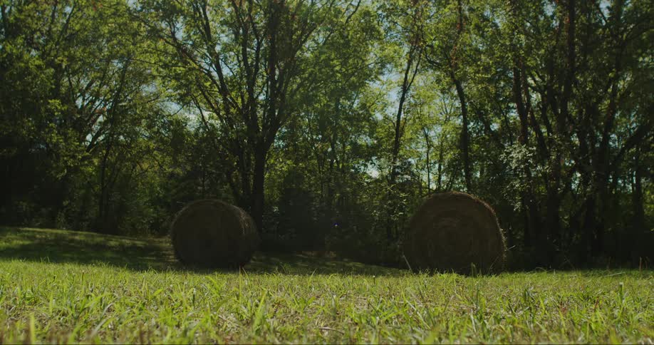 Hay rolls in an outdoor field on a sunny day