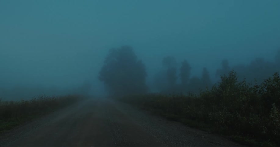 Dirt road in the middle of fields and trees on a cloudy and foggy morning