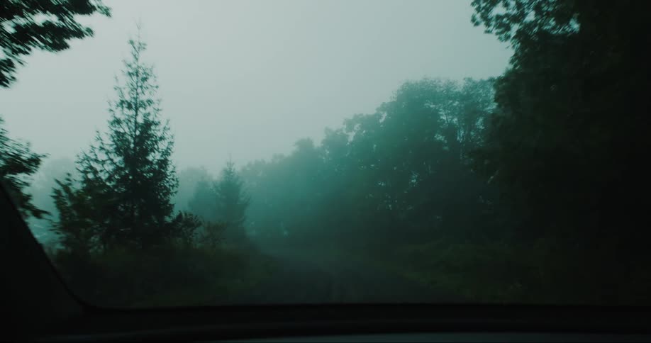 A deserted road in the forest during cloudy dusk