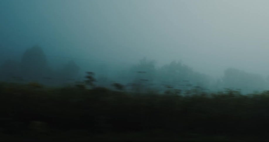 A foggy landscape with silhouettes of trees and mountains