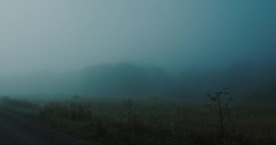 Flat landscape on a foggy day