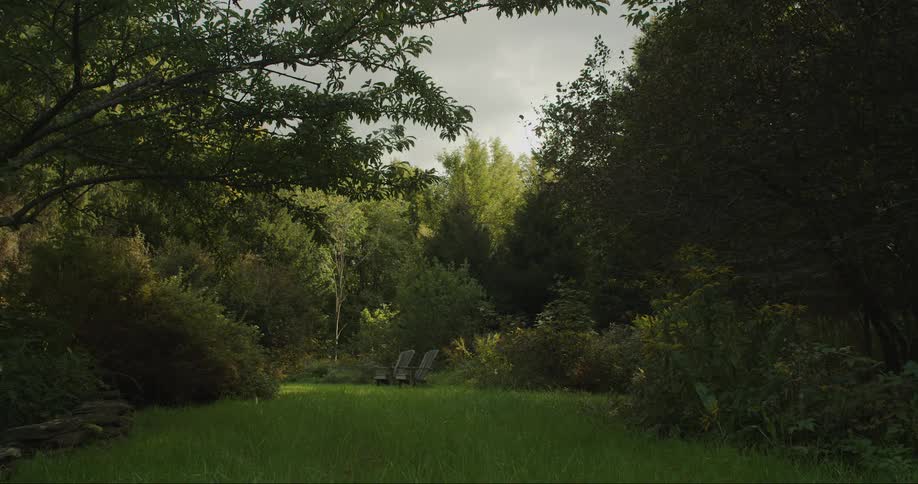 Two chairs sit outdoors near a forest
