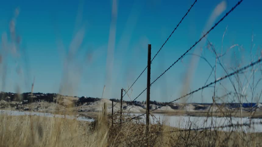 Grass blows in the wind near a barbed wire fence