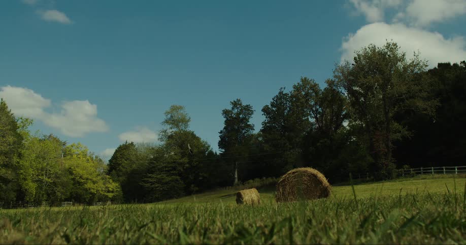 Hays in a field in the countryside during a sunny day