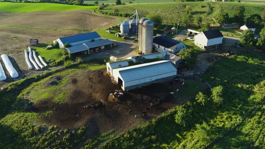 Aerial panorama of a farm with animals and vegetation