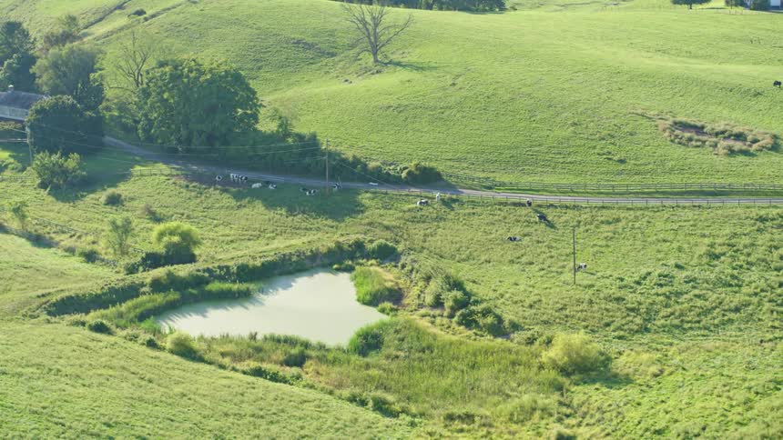 Aerial landscape of a farm with a lake and animals