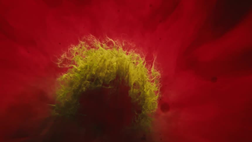 The camera moves towards a mutating virus