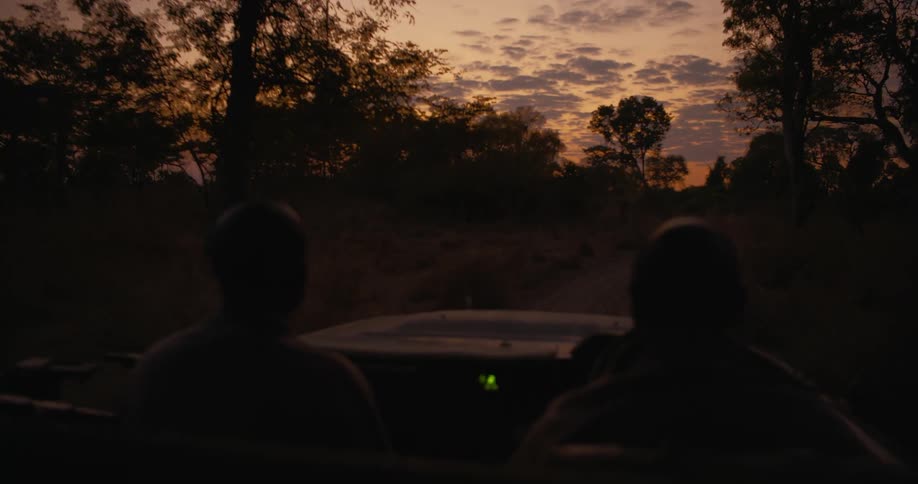 A couple of guides driving an off road vehicle on a safari at sunset
