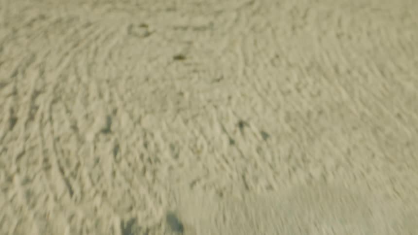 Flying through grass and over sand