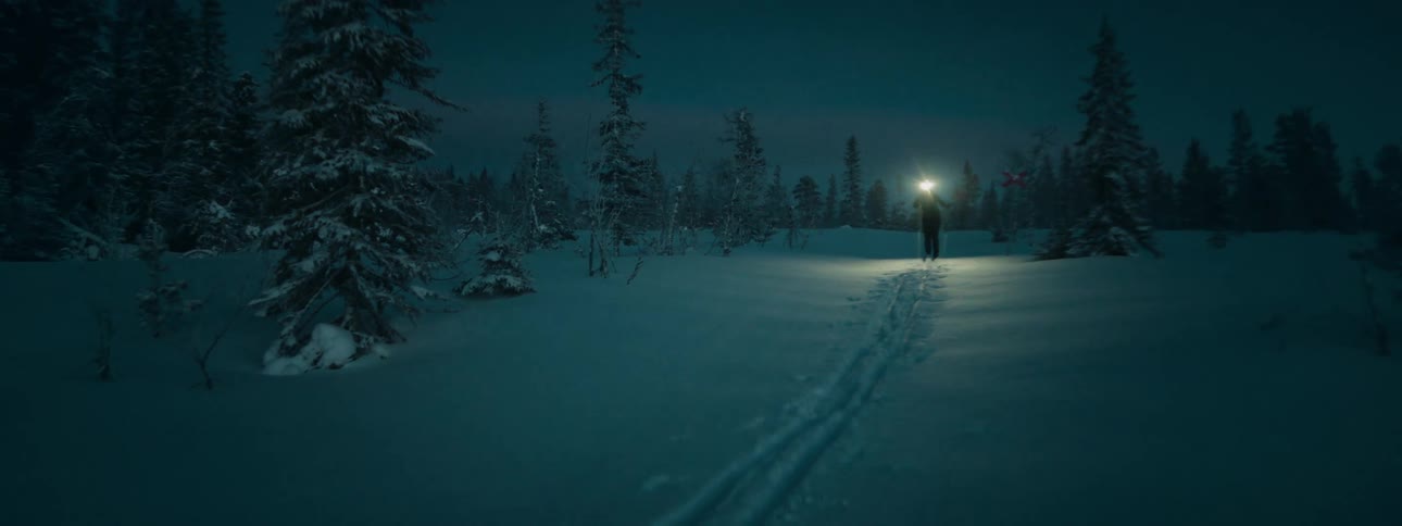 Person with a flashlight in the forest covered by snow at night and skiing