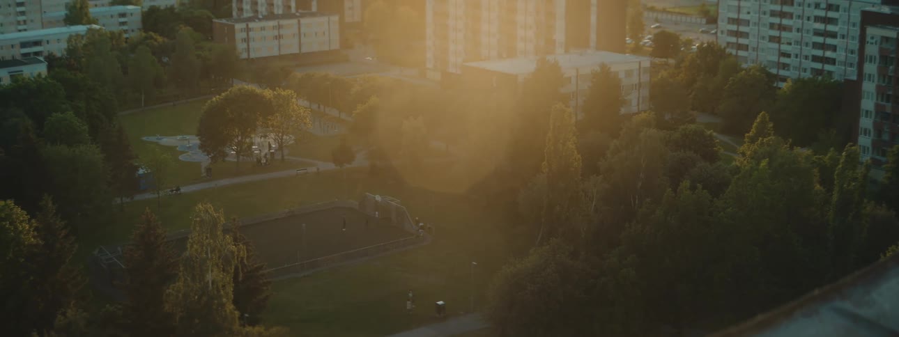 Forest with a block and surrounding residential buildings with the late afternoon sun