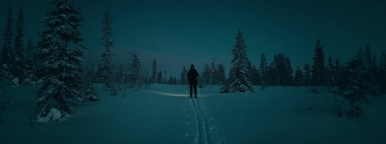 A woman skiing at night through a snowy forest illuminated by the light from her headlamp