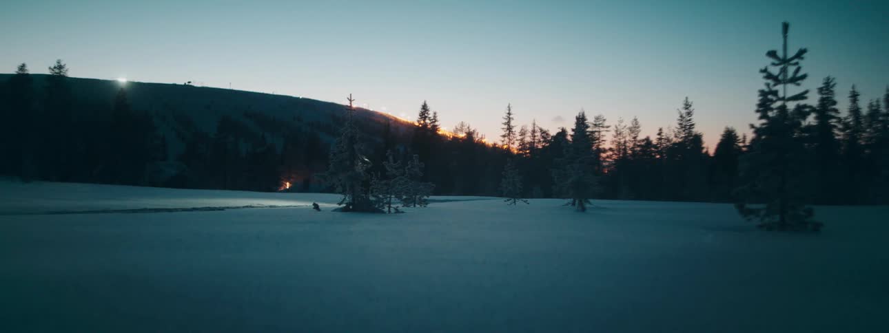 A person skiing on snow during dusk in the forest