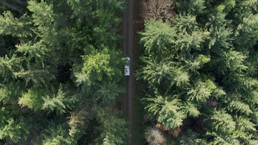 Birds eye view of a white pickup truck driving on a gravel road through evergreen forest