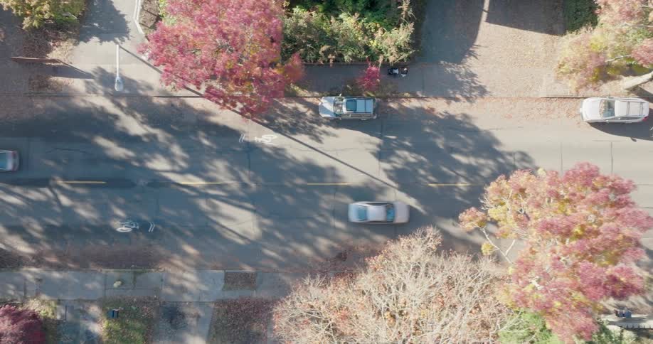 Top down view of cars traveling along a residential street under colorful fall foliage