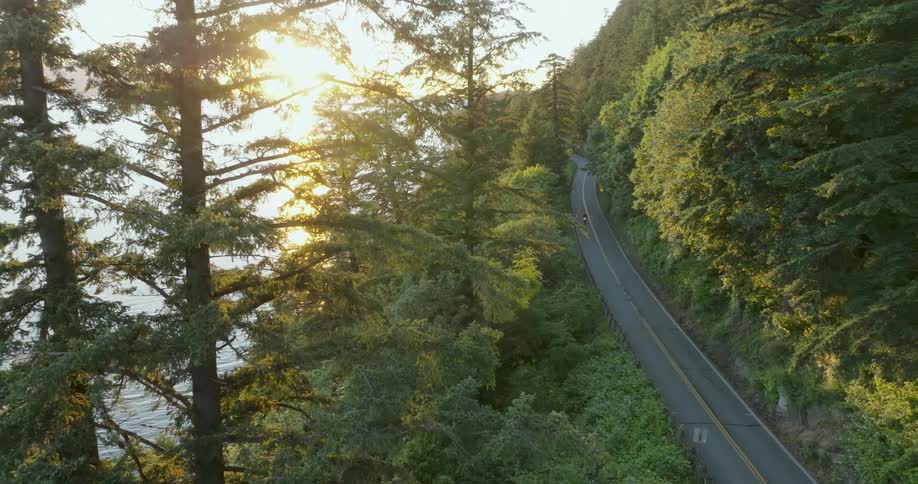 Filtered sunshine peeks through the trees as a motorcycle travels down a beautiful mountain road