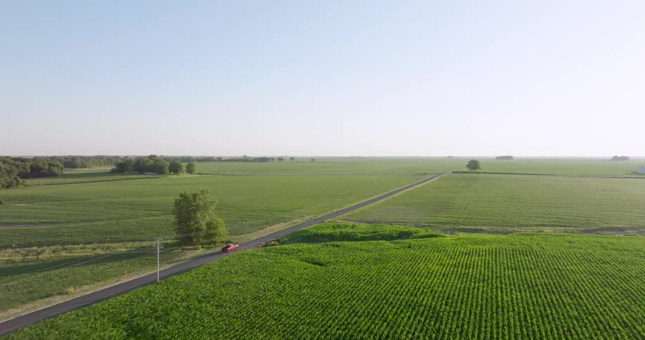 A red pickup truck drives between green farm fields on a rural road