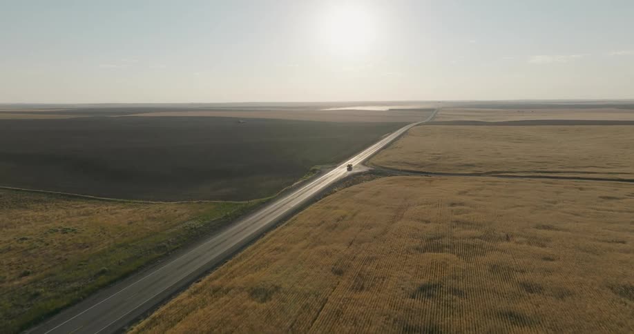 A black pickup truck drives between wheat fields on a deserted road in the countryside