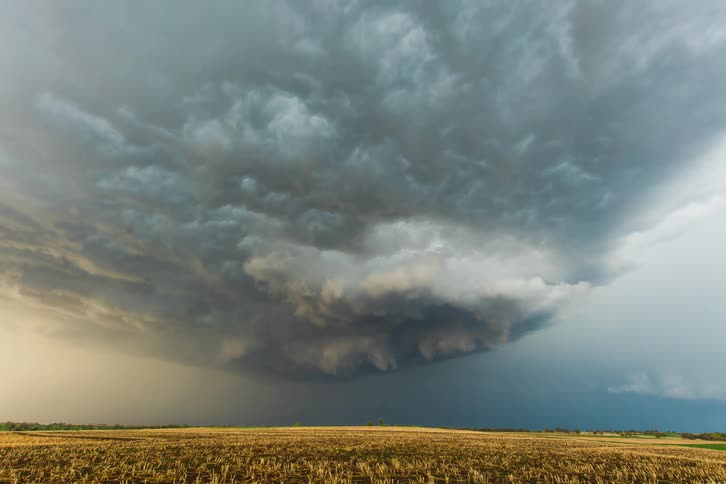 A lightning storm in a meadow during sunset