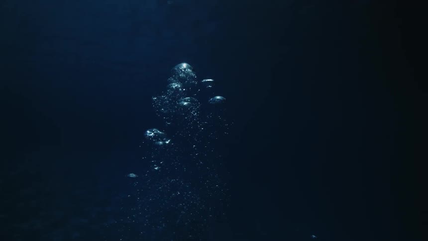A group of air bubbles rising to the surface in the ocean