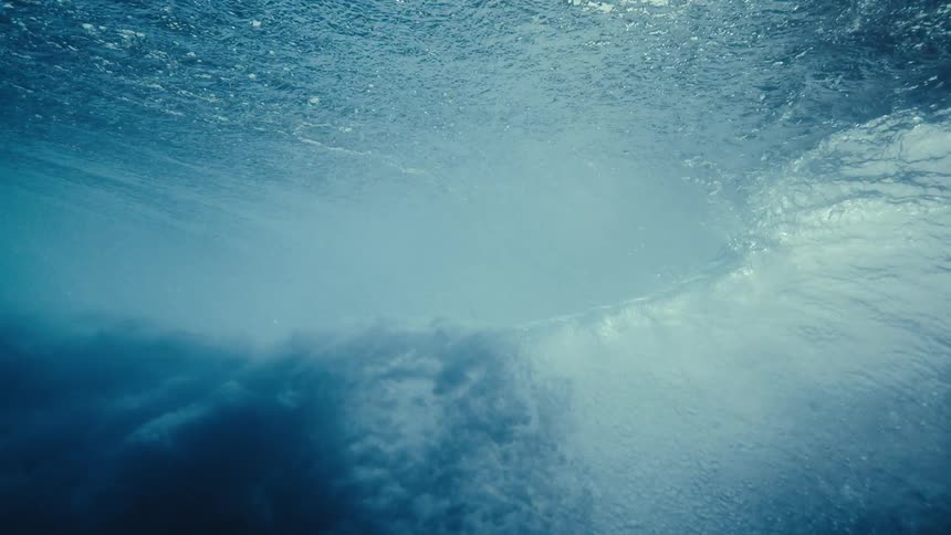 A breaking wave seen from beneath the water and some fish pass nearby