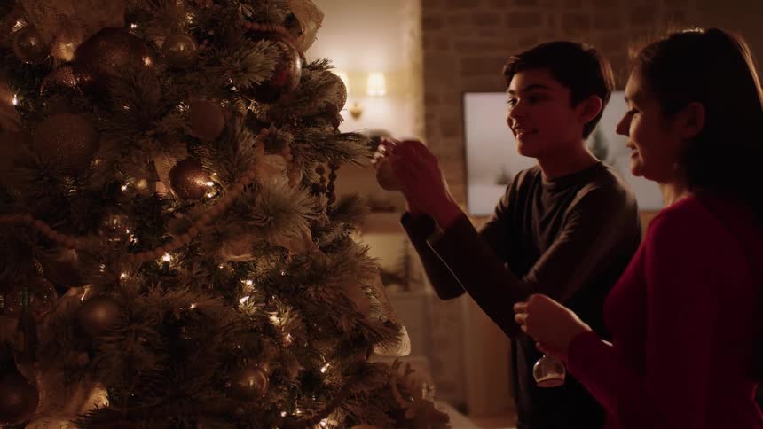 Siblings hanging ornaments on a christmas tree