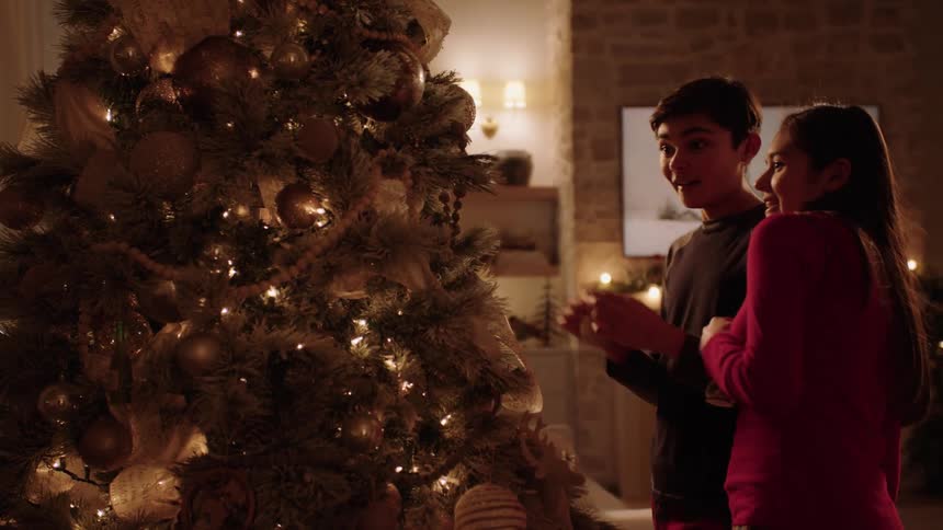 Siblings hanging ornaments on a christmas tree